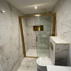 WhatsApp Image 2026-02-12 at 19.21.52